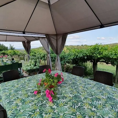Casa San Roman - Ribeira Sacra Panton Exterior photo