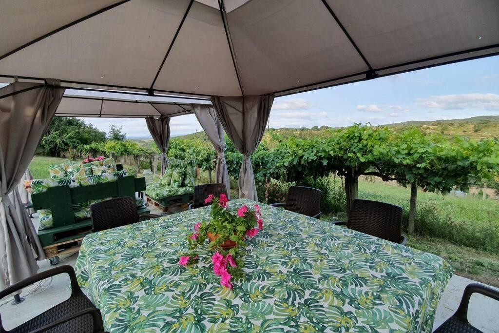 Casa San - Ribeira Sacra Panton